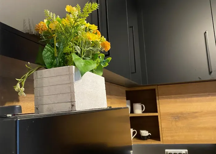 Look Up Garage Parking * Нови-Сад